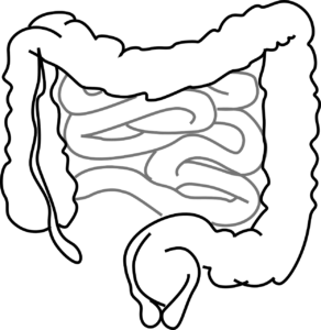 gastrointestinal-medical-notes